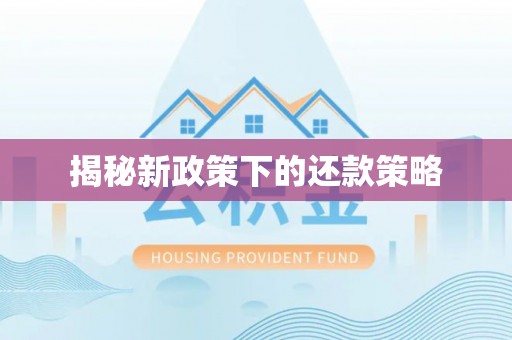 旅顺口揭秘新政策下的还款策略